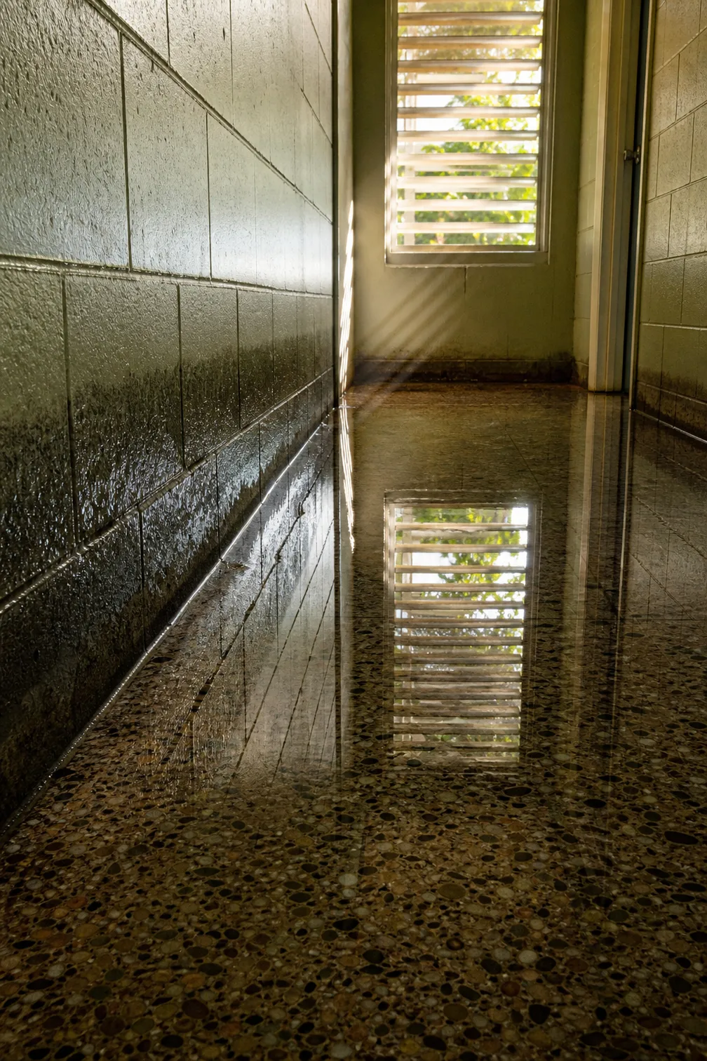 A dark wet band along the base of a painted concrete block wall in a narrow hallway, the terrazzo floor below it soaked and reflecting a louvred window