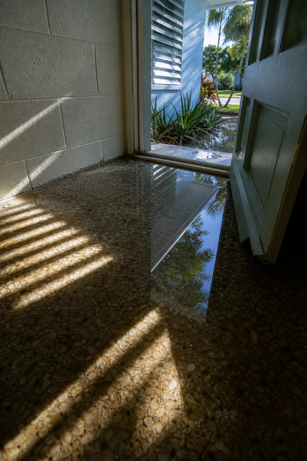 Shallow water lying across a terrazzo threshold at an open front door, running in from bright sunlight outside